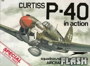 CURTISS P-40 IN ACTION