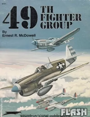 49 TH FIGHTER GROUP