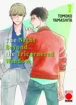 THE NIGHT BEYOND THE TRICORNERED WINDOW, 7