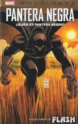 PANTERA NEGRA : ¿QUIÉN ES PANTERA NEGRA?