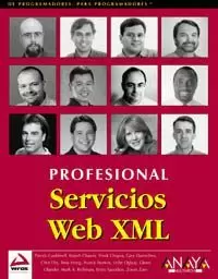 SERVICIOS WEB XML. PROFESIONAL