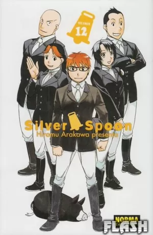 SILVER SPOON 12