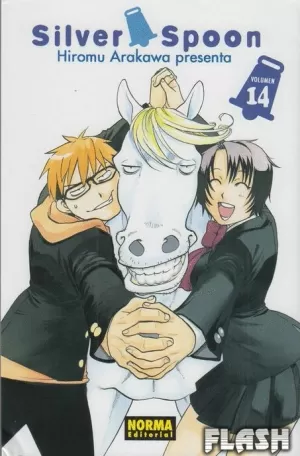 SILVER SPOON 14