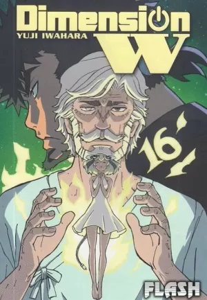 DIMENSION W 16