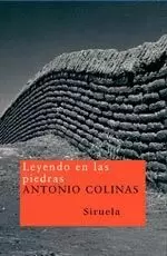 LEYENDO EN LAS PIEDRAS