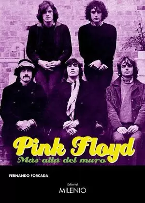 PINK FLOYD MAS ALLA DEL MURO