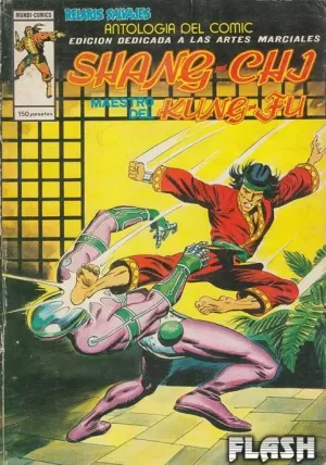 SHANG CHI MAESTRO DEL KUNG FU